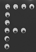 Wall_Art_Alphabet_Photography_Art_ 595
